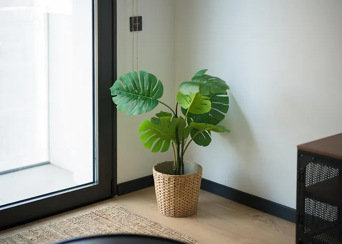 Playa Canteras Con Gimnasio A2d Appartement Las Palmas